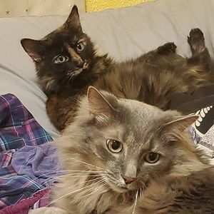 Meet your Posher, Susan